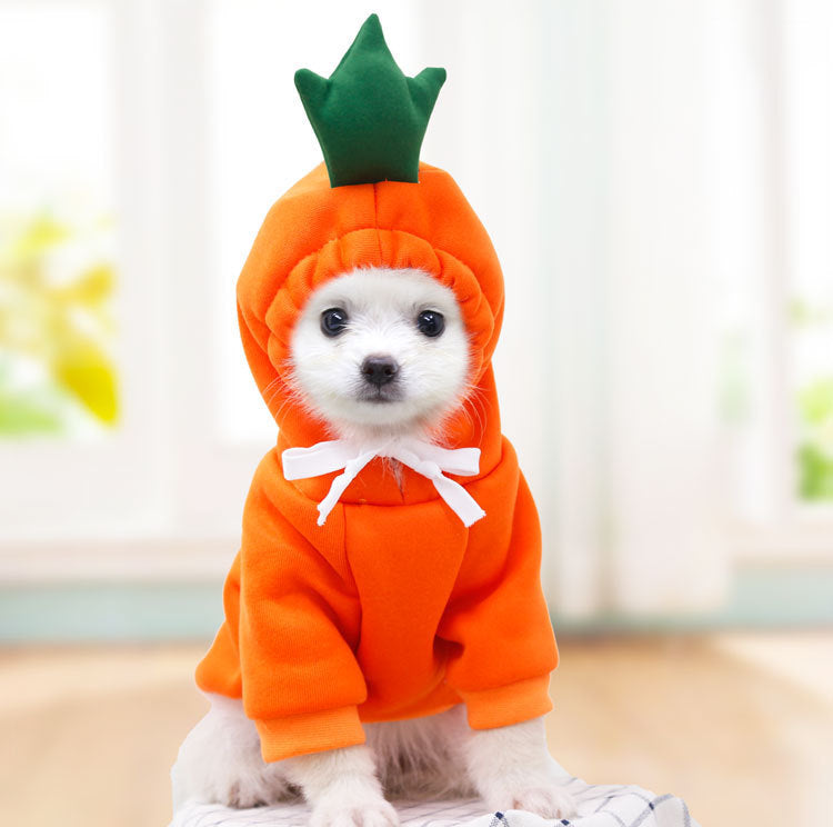 Cute Fruit Pet Costume Hoodie (Warm Fleece for Small Dogs)