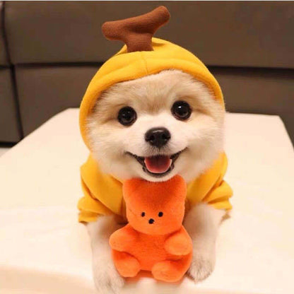 Cute Fruit Pet Costume Hoodie (Warm Fleece for Small Dogs)