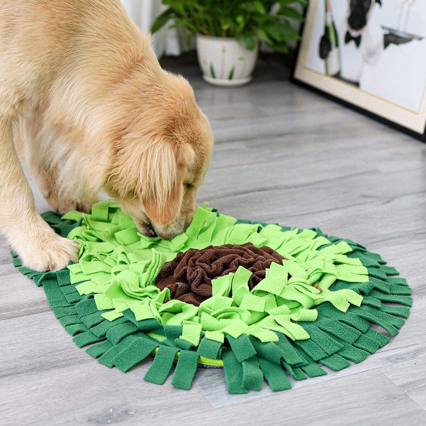 Pet Snack Feeding Mat Boring Interactive Game Training Blanket Snuffle Feeding Training Mat