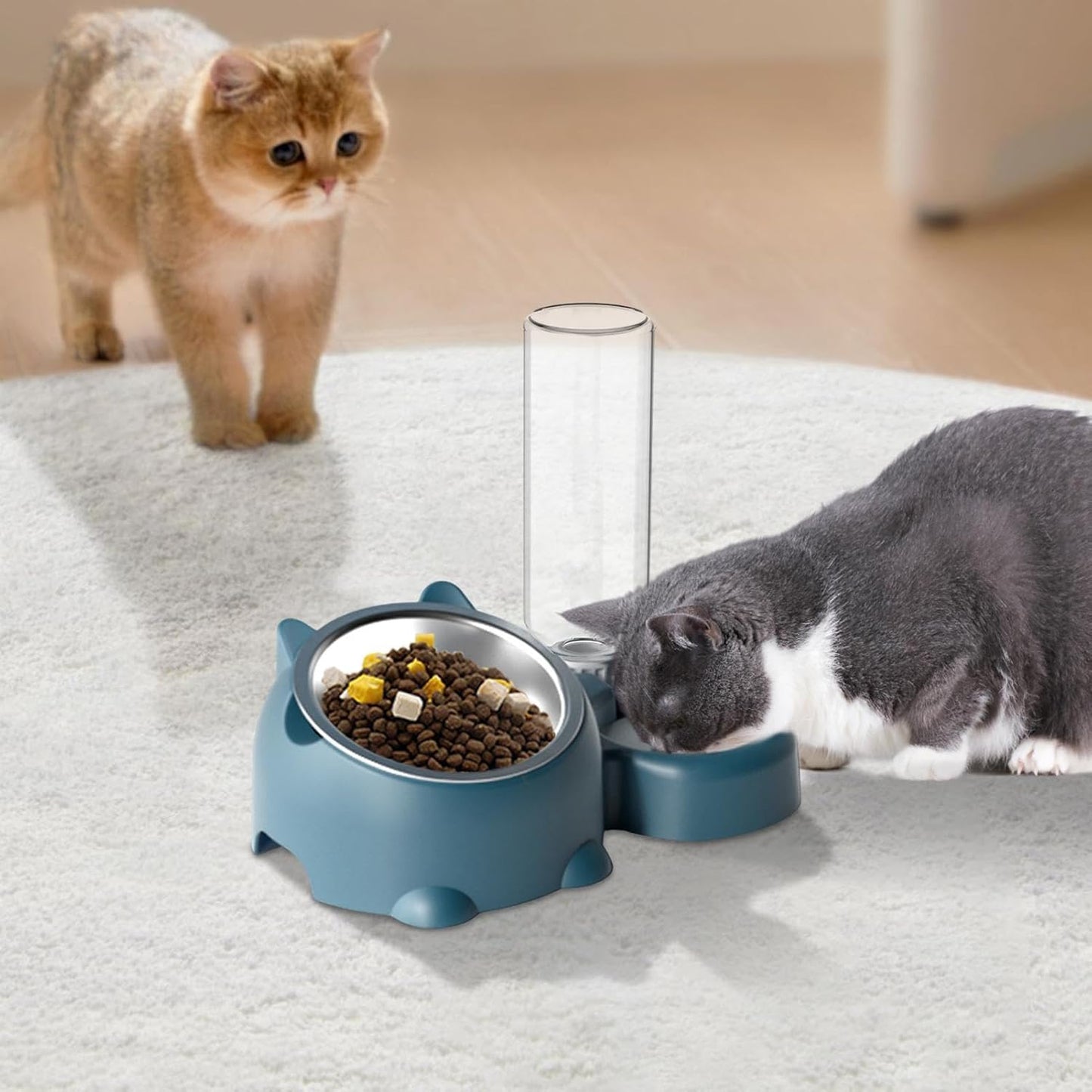 Pet Feeder Bowl Pet Drinking And Eating Bowl Detachable Pet Feeder Bowl For Cats And Dogs
