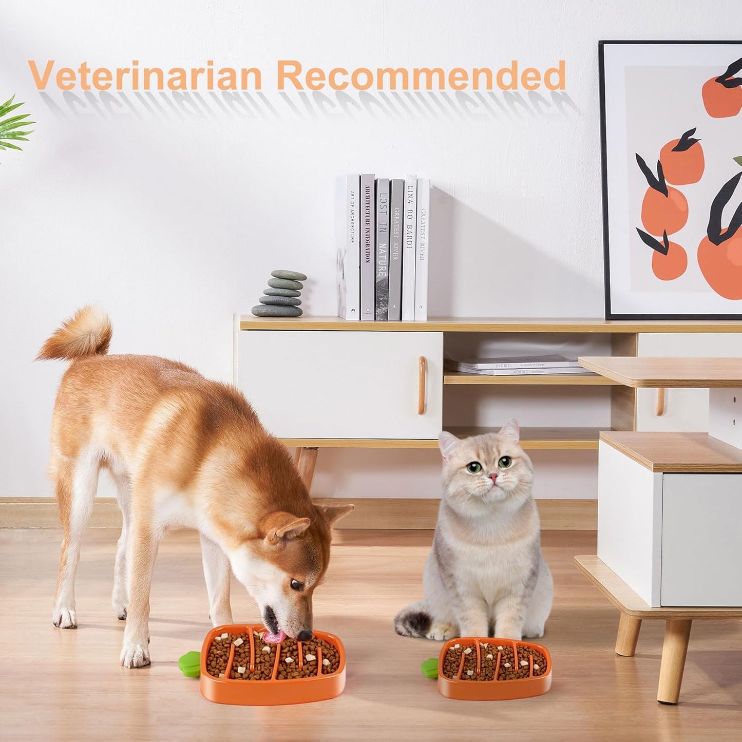 Pet Slow Feeder Bowl For Dry Wet Food