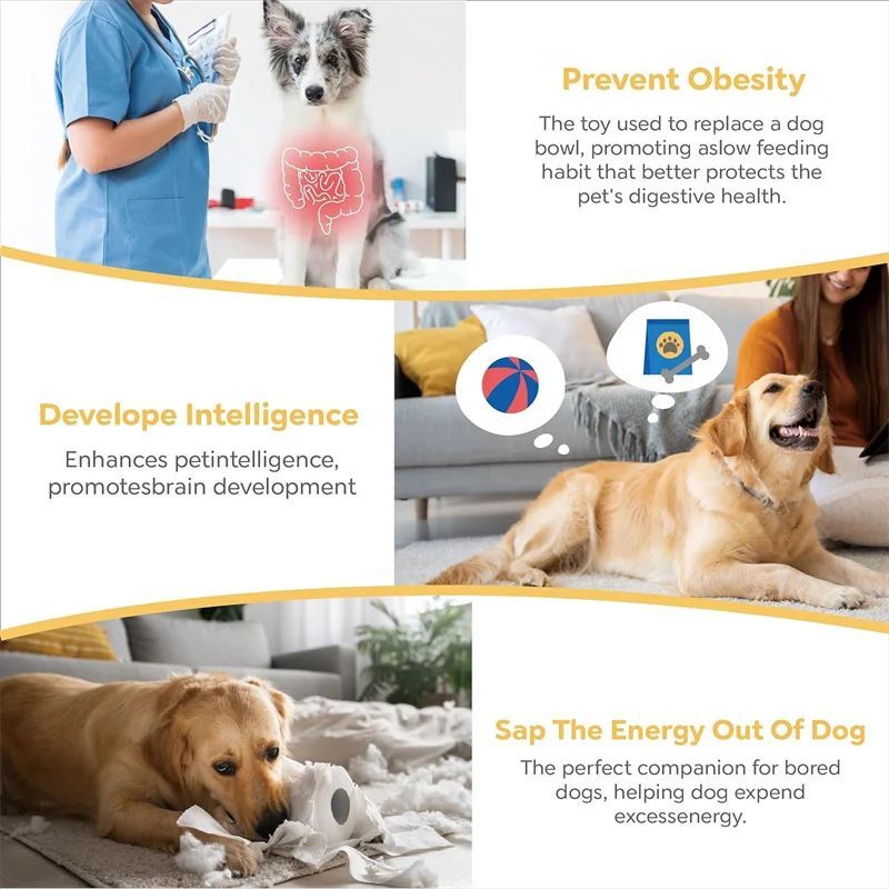 Pet Slow Food Bowl 3-Layer Puzzle