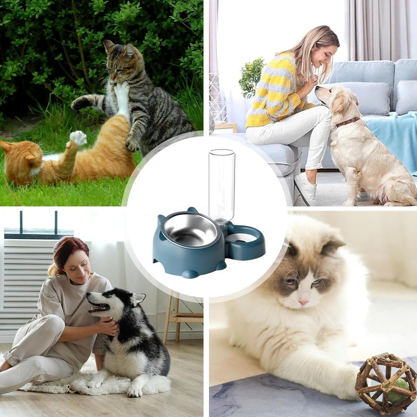 Pet Feeder Bowl Pet Drinking And Eating Bowl Detachable Pet Feeder Bowl For Cats And Dogs