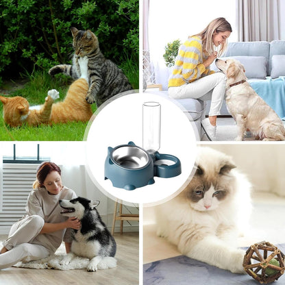 Pet Feeder Bowl Pet Drinking And Eating Bowl Detachable Pet Feeder Bowl For Cats And Dogs