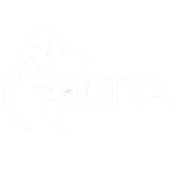 Ejiva